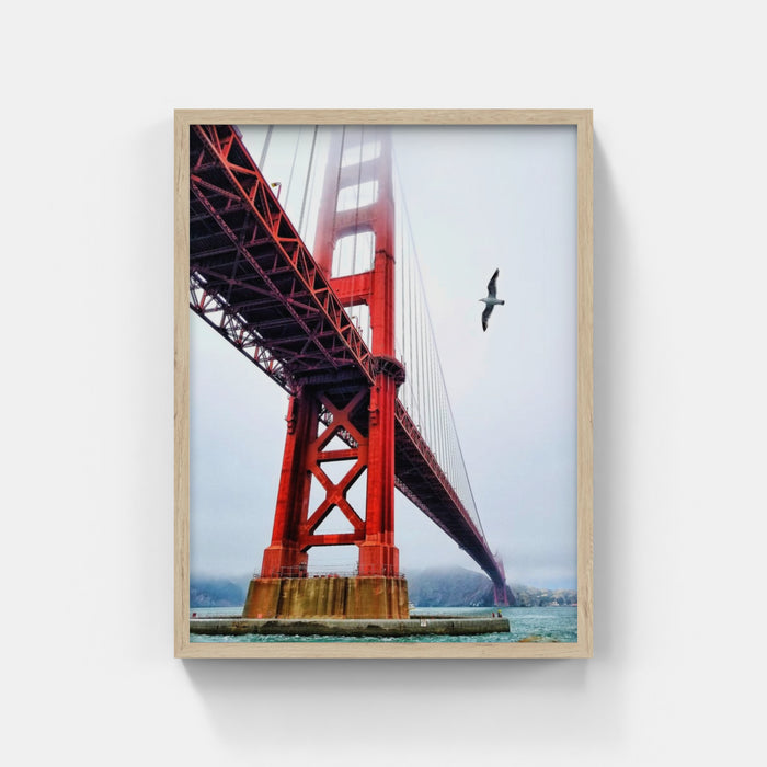 San Francisco -Golden Bridge in the fog - Bird - Robert Trombetta