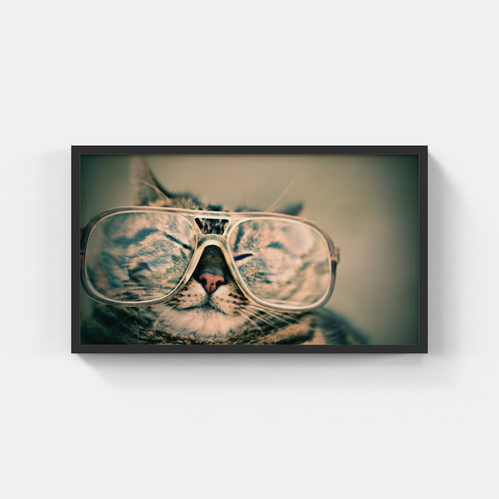 Cat with glasses - Octavio Fossatti