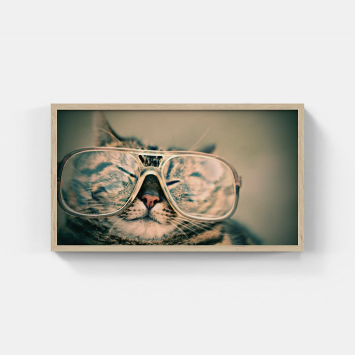 Cat with glasses - Octavio Fossatti