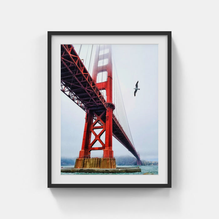 San Francisco -Golden Bridge in the fog - Bird - Robert Trombetta